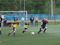 IMG_4538